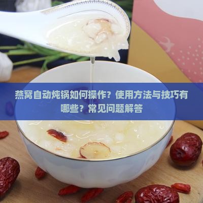 燕窝自动炖锅如何操作？使用方法与技巧有哪些？常见问题解答