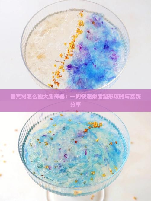 官燕窝怎么瘦大腿神器：一周快速燃脂塑形攻略与实践分享