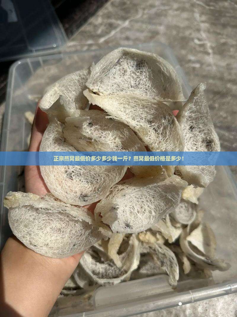 正宗燕窝最低价多少多少钱一斤？燕窝最低价格是多少！