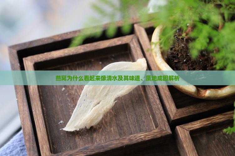 燕窝为什么看起来像清水及其味道、质地成因解析
