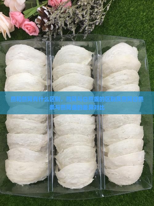 燕和燕窝有什么区别，燕窝与白燕盏的区别及燕窝白燕条与燕窝盏的差异对比