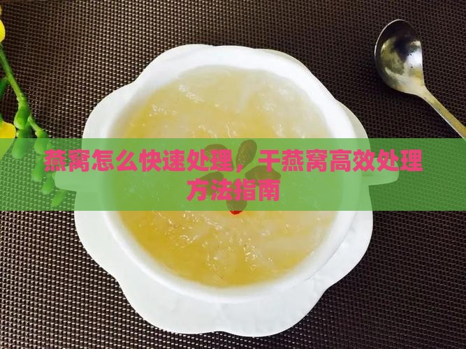 燕窝怎么快速处理，干燕窝高效处理方法指南