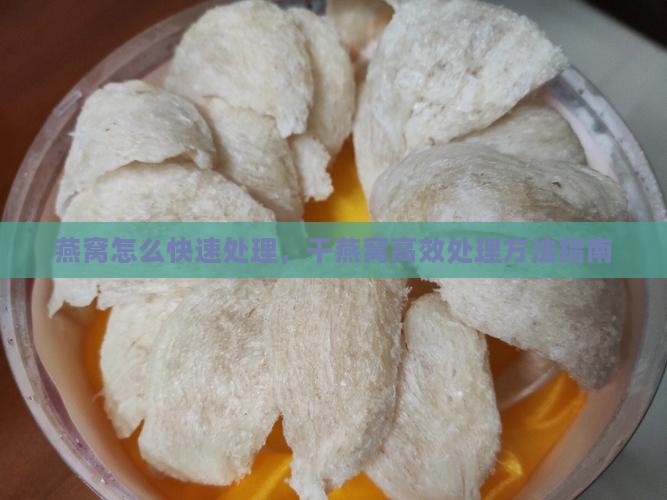 燕窝怎么快速处理，干燕窝高效处理方法指南