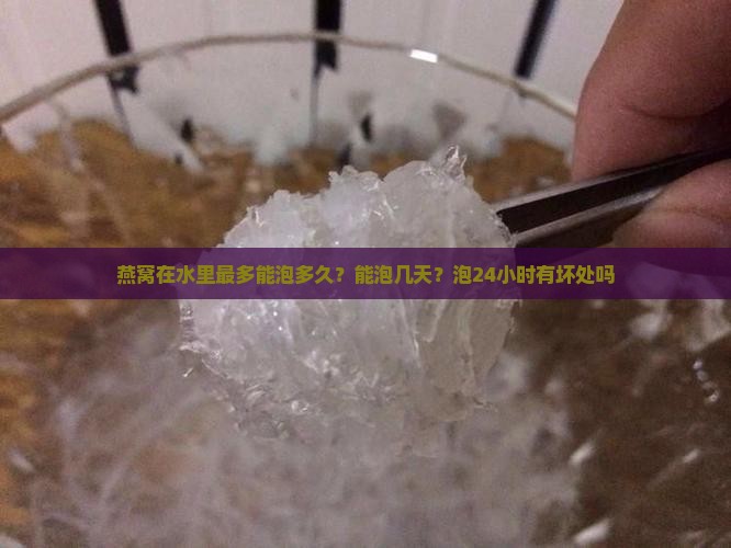 燕窝在水里最多能泡多久？能泡几天？泡24小时有坏处吗