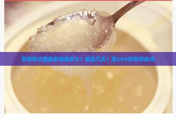 燕窝在水里最多能泡多久？能泡几天？泡24小时有坏处吗