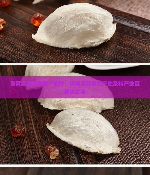 燕窝果果是哪里产的好：探寻燕窝果原产地及特产地区美味之谜