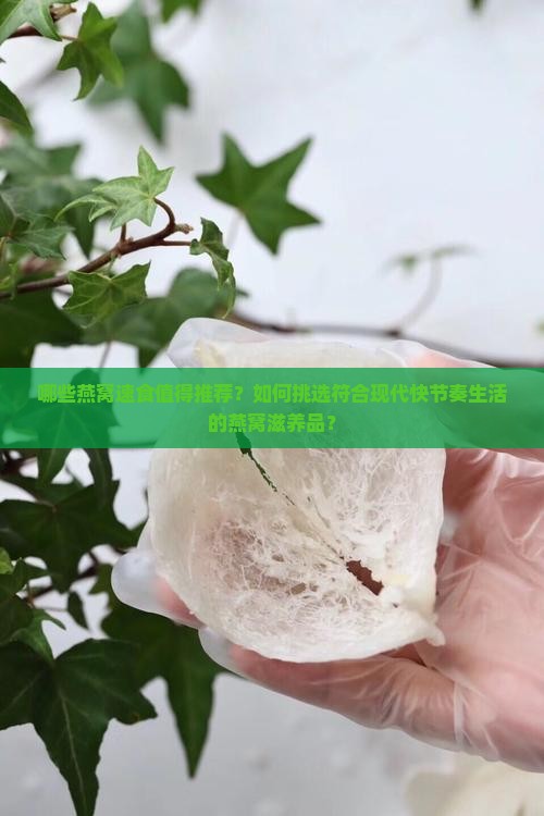 哪些燕窝速食值得推荐？如何挑选符合现代快节奏生活的燕窝滋养品？