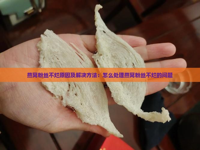 燕窝粉丝不烂原因及解决方法：怎么处理燕窝粉丝不烂的问题