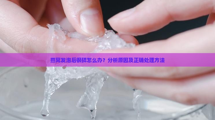 燕窝发泡后很碎怎么办？分析原因及正确处理方法