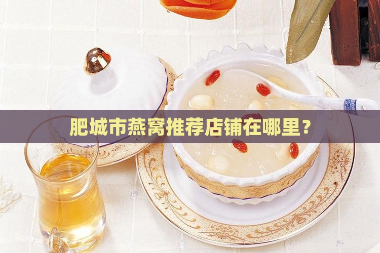 肥城市燕窝推荐店铺在哪里？