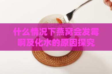什么情况下燕窝会发霉啊及化水的原因探究