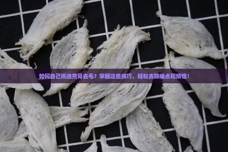 如何自己挑选燕窝去毛？掌握这些技巧，轻松去除痛点和烦恼！