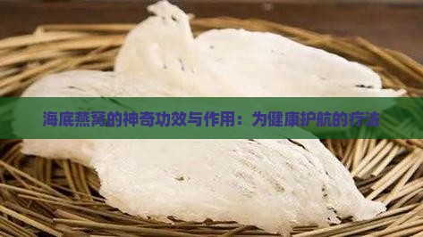 海底燕窝的神奇功效与作用：为健康护航的疗法