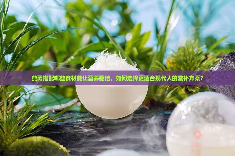 燕窝搭配哪些食材能让营养翻倍，如何选择更适合现代人的滋补方案？