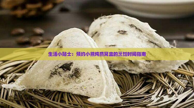 生活小贴士：预约小熊炖燕窝盅的烹饪时间指南