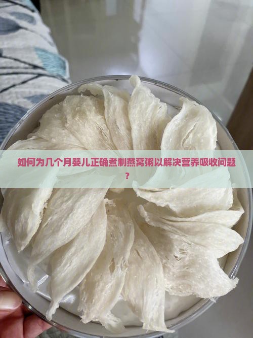 如何为几个月婴儿正确煮制燕窝粥以解决营养吸收问题？