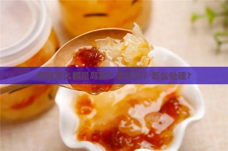 燕窝怎么都是鸟粪？怎么办？怎么处理？