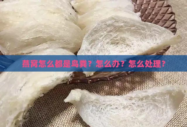 燕窝怎么都是鸟粪？怎么办？怎么处理？