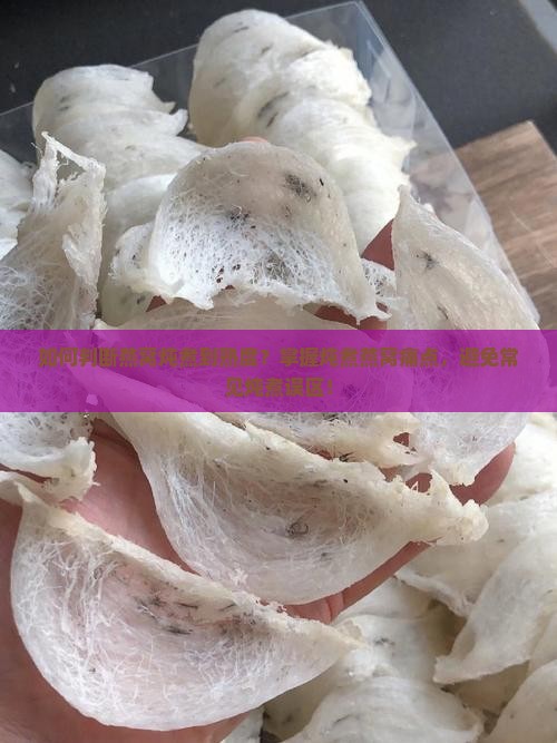 如何判断燕窝炖煮到熟度？掌握炖煮燕窝痛点，避免常见炖煮误区！
