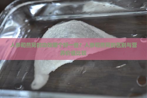 人参和燕窝的功效哪个好一些？人参和燕窝的区别与营养价值比较