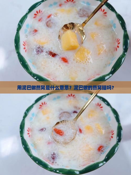 用泥巴做燕窝是什么意思？泥巴做的燕窝脑吗？