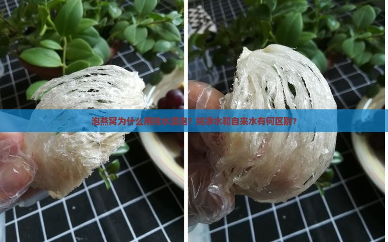 泡燕窝为什么用纯水浸泡？纯净水和自来水有何区别？