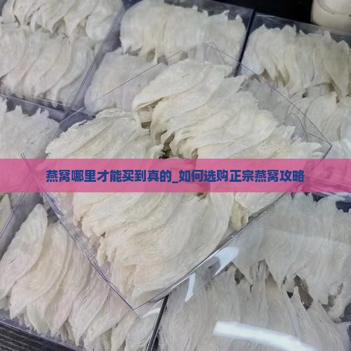 燕窝哪里才能买到真的_如何选购正宗燕窝攻略