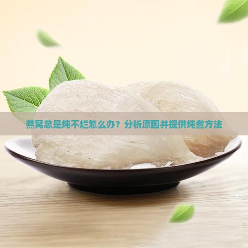 燕窝总是炖不烂怎么办？分析原因并提供炖煮方法