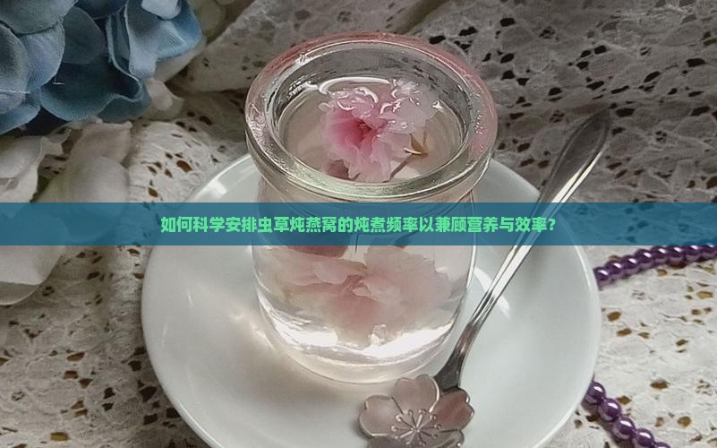 如何科学安排虫草炖燕窝的炖煮频率以兼顾营养与效率？