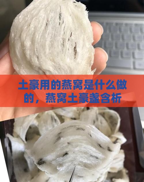 土豪用的燕窝是什么做的，燕窝土豪盏含析