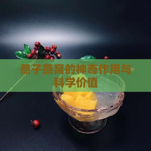 燕子燕窝的神奇作用与科学价值
