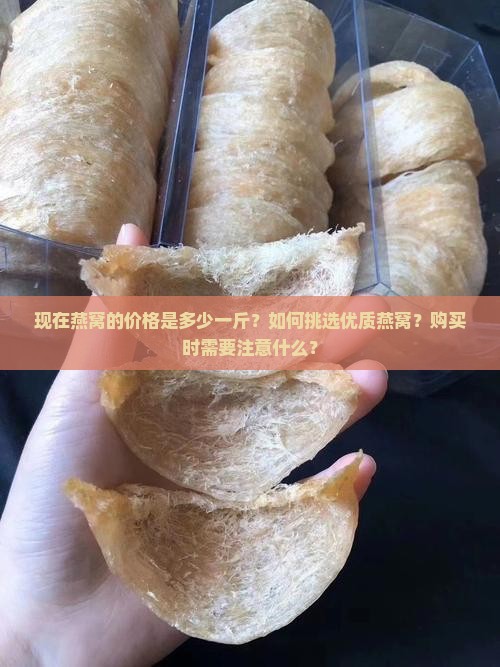 现在燕窝的价格是多少一斤？如何挑选优质燕窝？购买时需要注意什么？