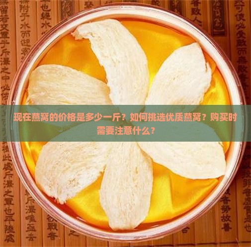 现在燕窝的价格是多少一斤？如何挑选优质燕窝？购买时需要注意什么？
