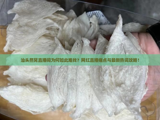 汕头燕窝直播间为何如此难找？网红直播痛点与最新热词攻略！