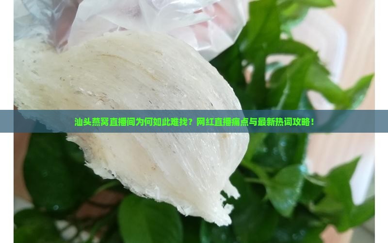 汕头燕窝直播间为何如此难找？网红直播痛点与最新热词攻略！