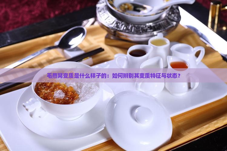 毛燕窝变质是什么样子的：如何辨别其变质特征与状态？