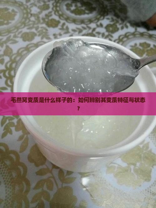 毛燕窝变质是什么样子的：如何辨别其变质特征与状态？