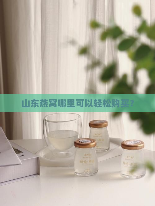 山东燕窝哪里可以轻松购买？