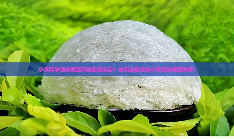 小燕窝学哪些舞蹈风格最受欢迎？如何选择适合小燕窝的舞蹈教程？
