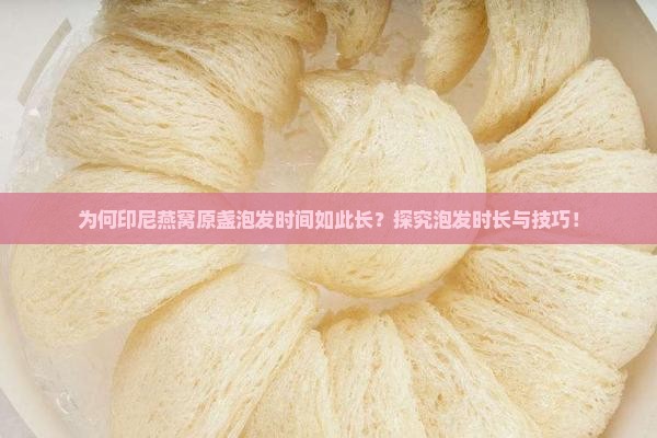 为何印尼燕窝原盏泡发时间如此长？探究泡发时长与技巧！