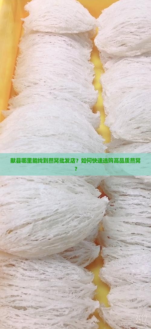 献县哪里能找到燕窝批发店？如何快速选购高品质燕窝？