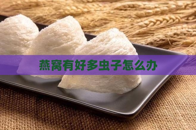 燕窝有好多虫子怎么办