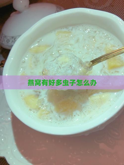 燕窝有好多虫子怎么办