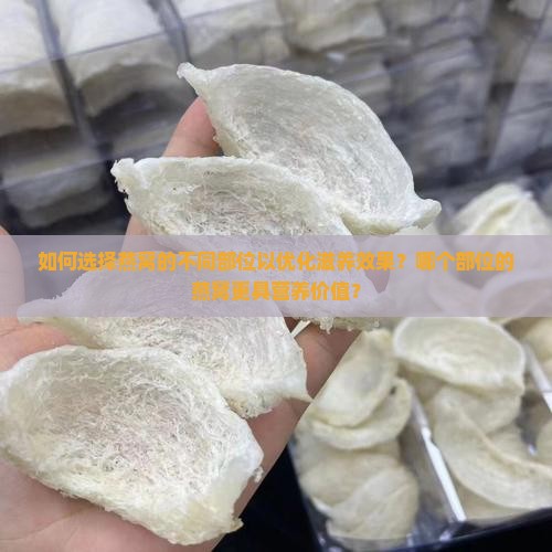 如何选择燕窝的不同部位以优化滋养效果？哪个部位的燕窝更具营养价值？