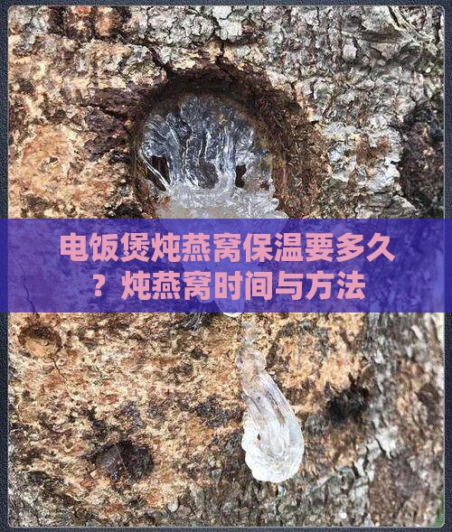 电饭煲炖燕窝保温要多久？炖燕窝时间与方法
