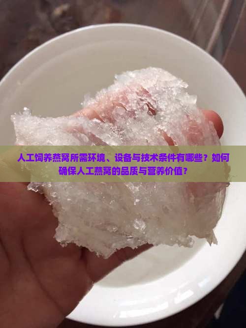 人工饲养燕窝所需环境、设备与技术条件有哪些？如何确保人工燕窝的品质与营养价值？