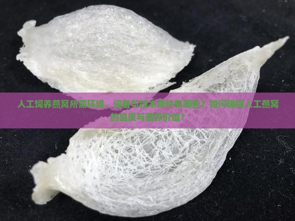 人工饲养燕窝所需环境、设备与技术条件有哪些？如何确保人工燕窝的品质与营养价值？