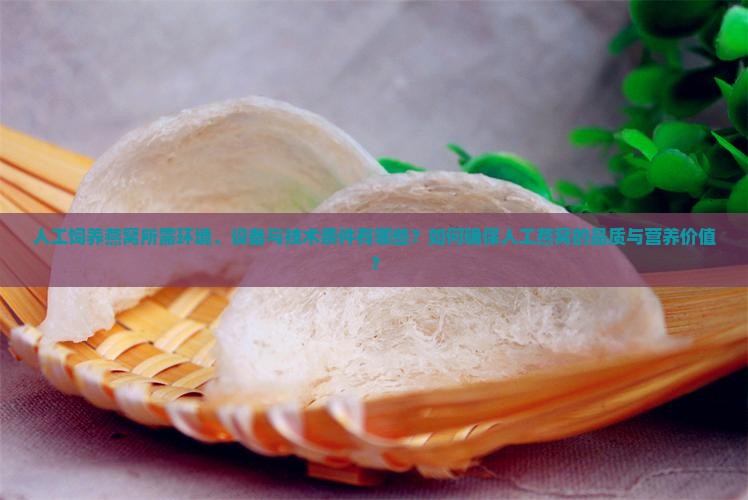 人工饲养燕窝所需环境、设备与技术条件有哪些？如何确保人工燕窝的品质与营养价值？