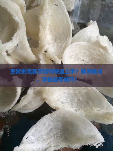 燕窝挑毛新手如何快速上手？解决痛点，掌握最新技巧！