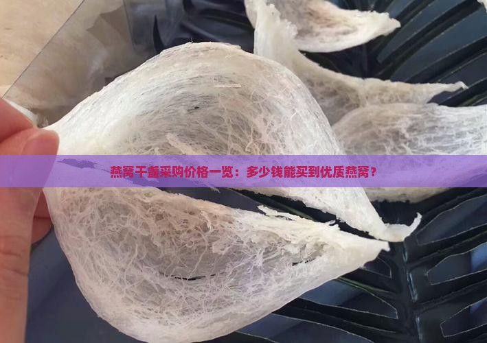 燕窝干盏采购价格一览：多少钱能买到优质燕窝？